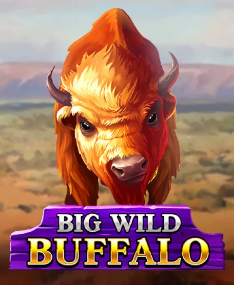 Play Big Wild Buffalo at Bit Io Casino